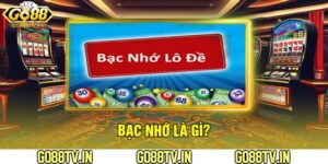 Bạc Nhớ Là Gì