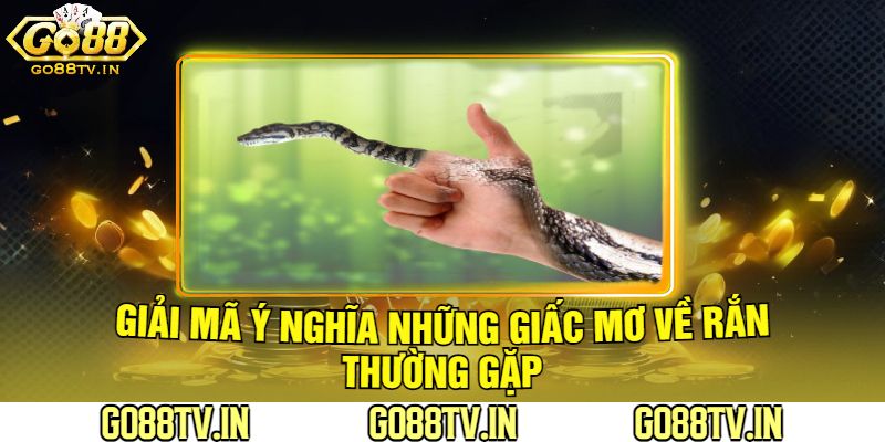 Giải Mã Ý Nghĩa Những Giấc Mơ Về Rắn Thường Gặp