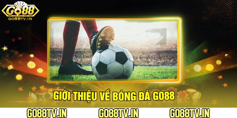 Giới Thiệu Về Bóng Đá Go88