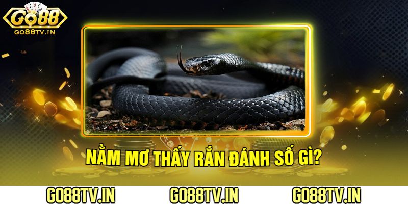 Nằm Mơ Thấy Rắn Tại Go88 Đánh Số Gì?