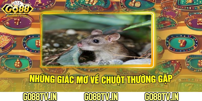 Những Giấc Mơ Về Chuột Thường Gặp