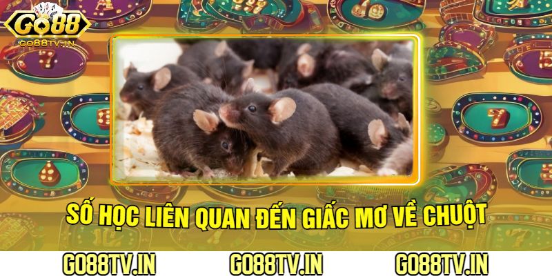 Số Học Liên Quan Đến Giấc Mơ Về Chuột