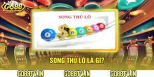 Song Thủ Lô Là Gì