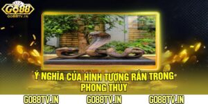 Ý Nghĩa Của Hình Tượng Rắn Trong Phong Thủy