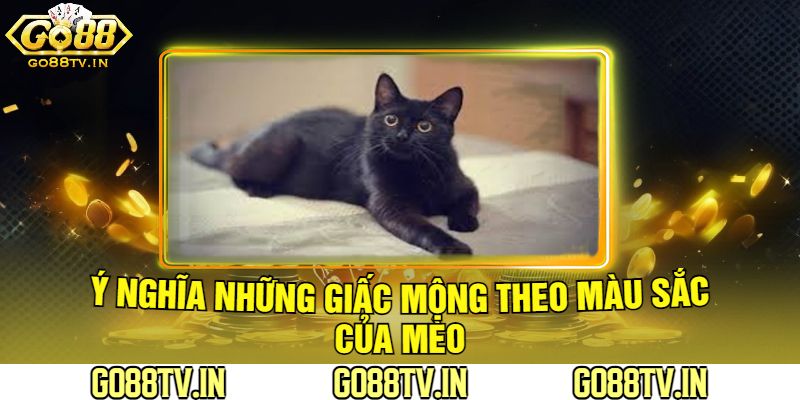 Ý Nghĩa Những Giấc Mộng Theo Màu Sắc Của Mèo